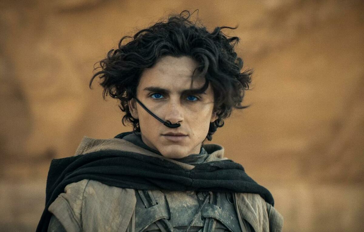 Large a6f9250e83e1d1f3abe2a9dfaf231836 dune 2 timothee chalamet