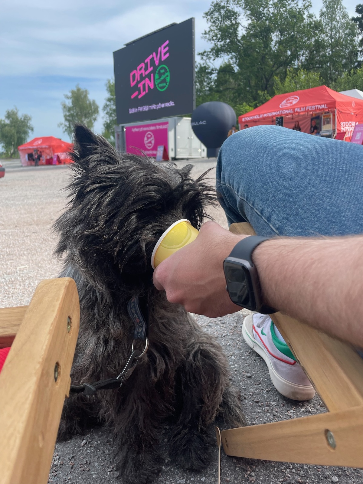 Large a73d083549a7ad12fd92898a98354dd5 e53ef316 2a48 4ccf 9f06 01b38d68dfdf