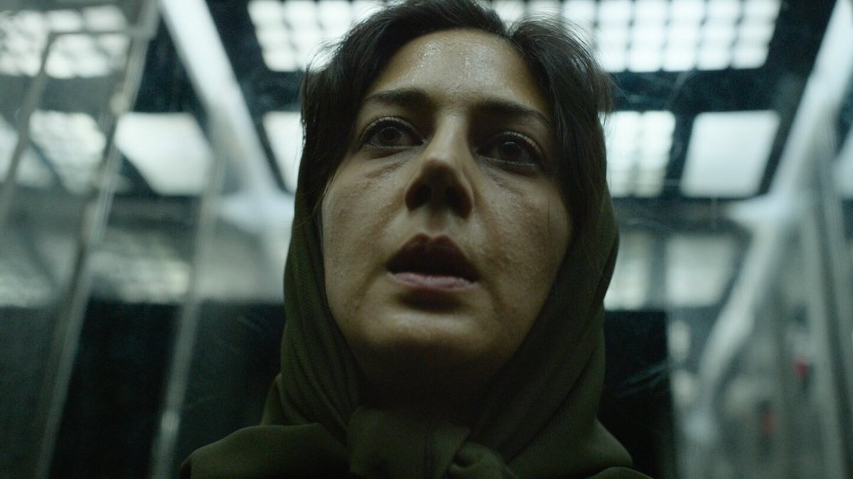 Large b071fcb433cb85c020f7ff151f477f6a holyspider