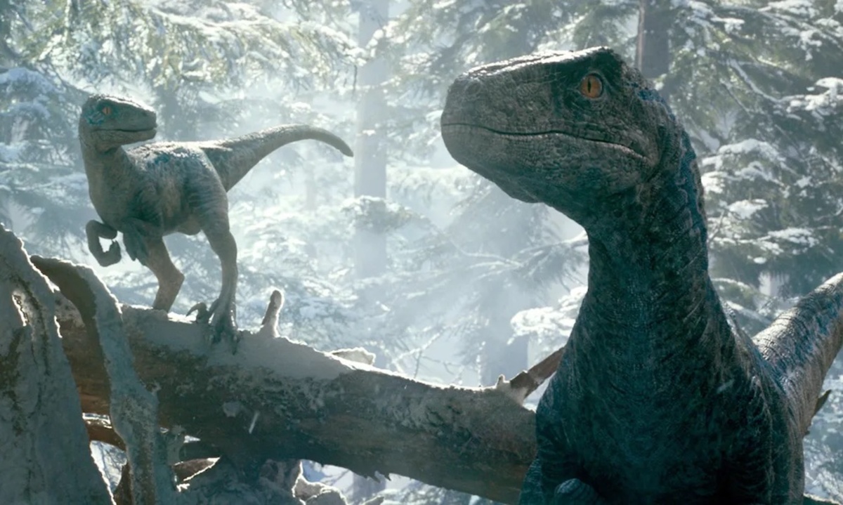 Large b17c33d32b62487fb07b36000b65d703 bild2 20 kopia