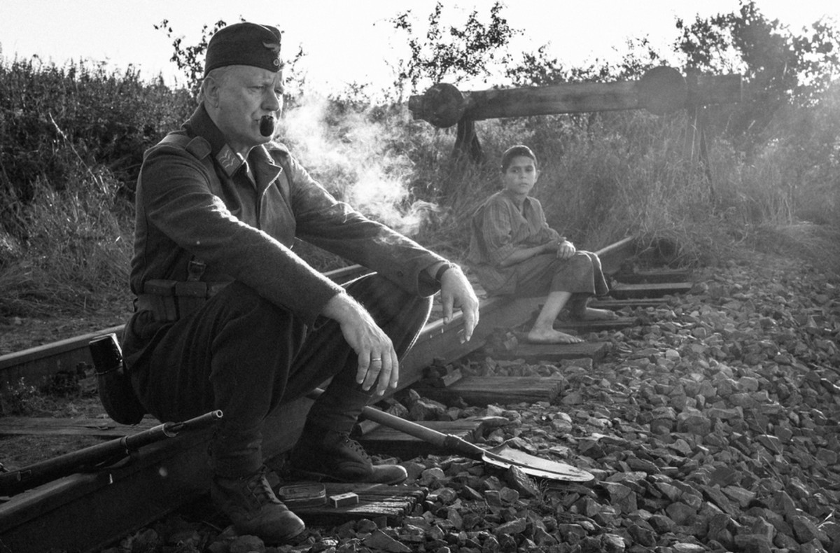 Large b653a86d2e3bb924318eb277ccc62dd5 stellan bird