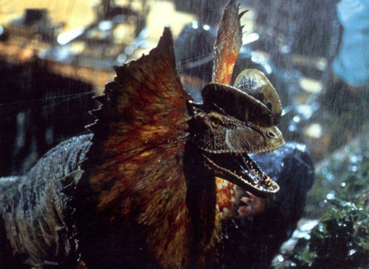 Large b994431297bd149180a9c6234cdc73f4 jp dilo