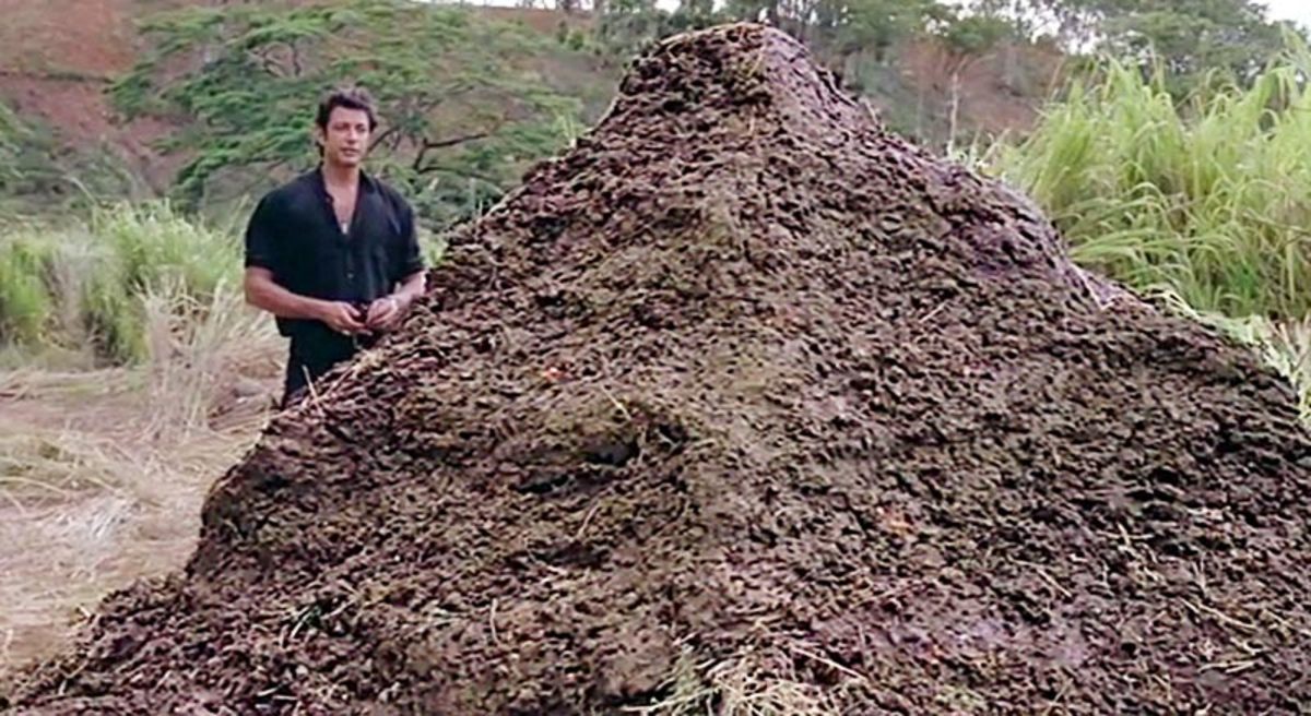 Large b994431297bd149180a9c6234cdc73f4 jp poop