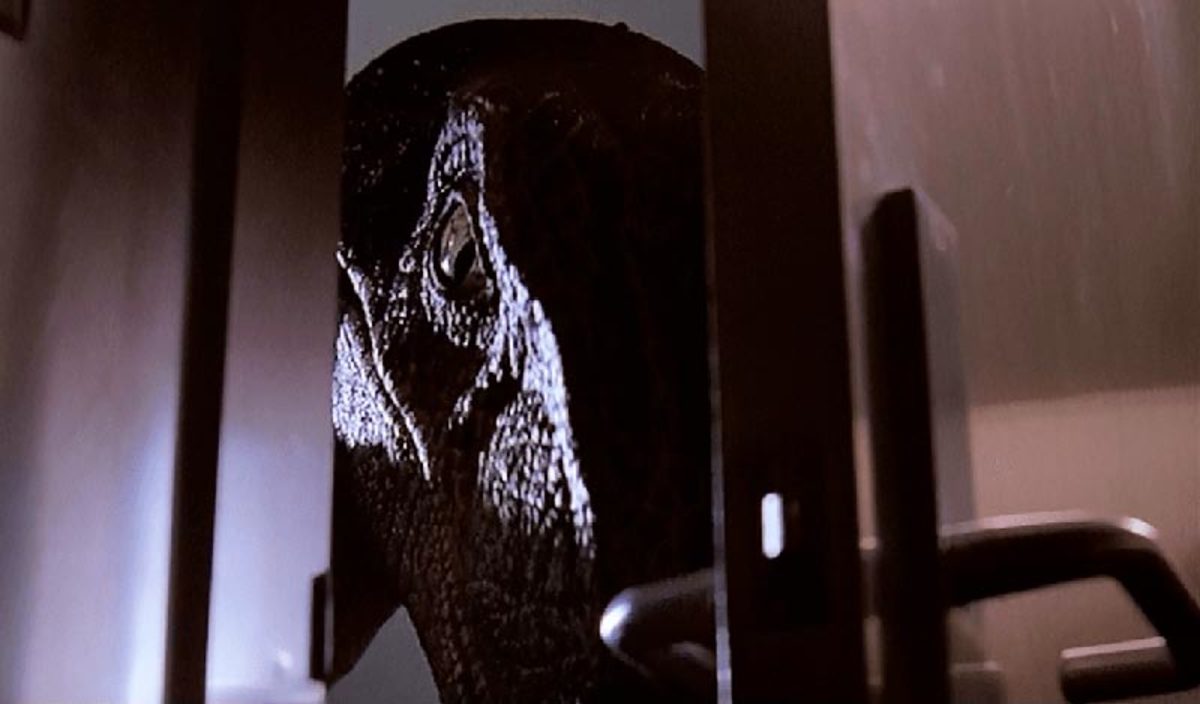 Large b994431297bd149180a9c6234cdc73f4 jp raptor