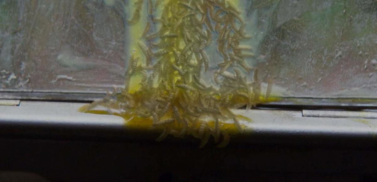 Large be074edba733f44620dc97d40752af6b perfection2