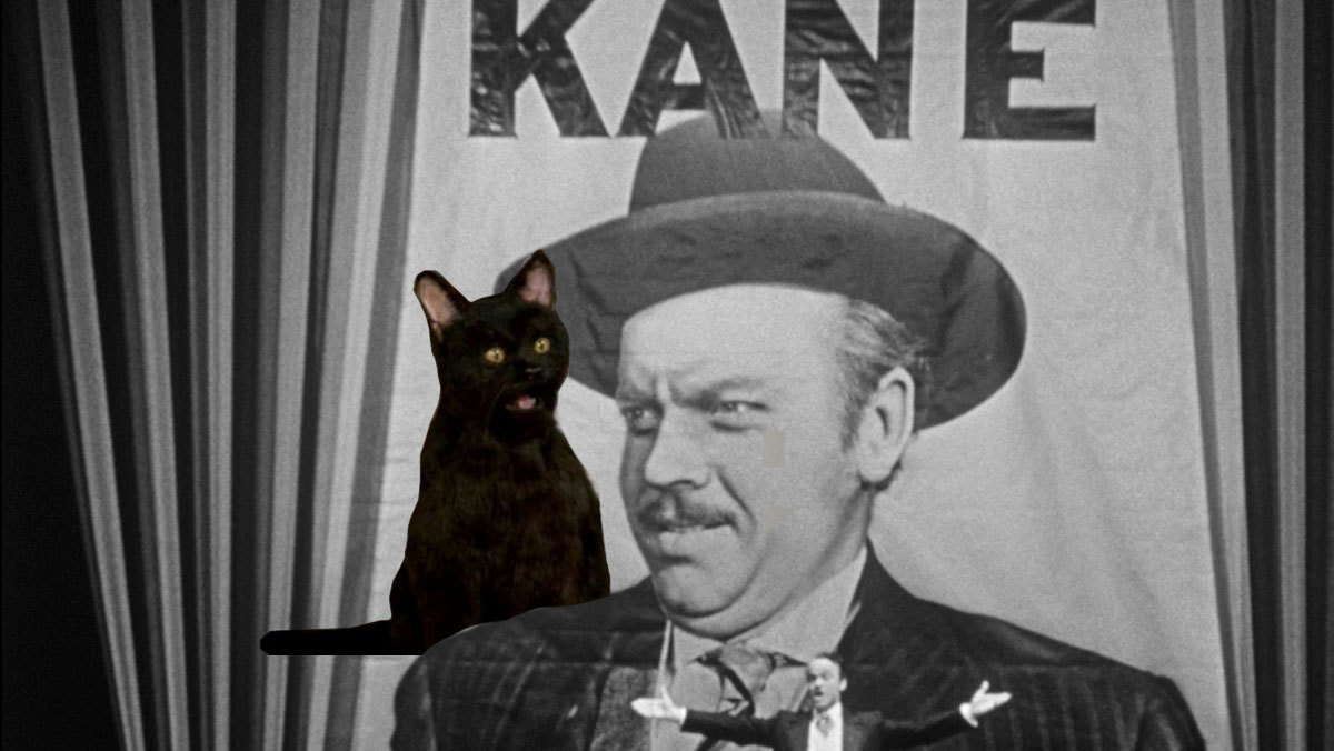 Large d6686626f18e322cac6dd007a48d1baf citizen kane