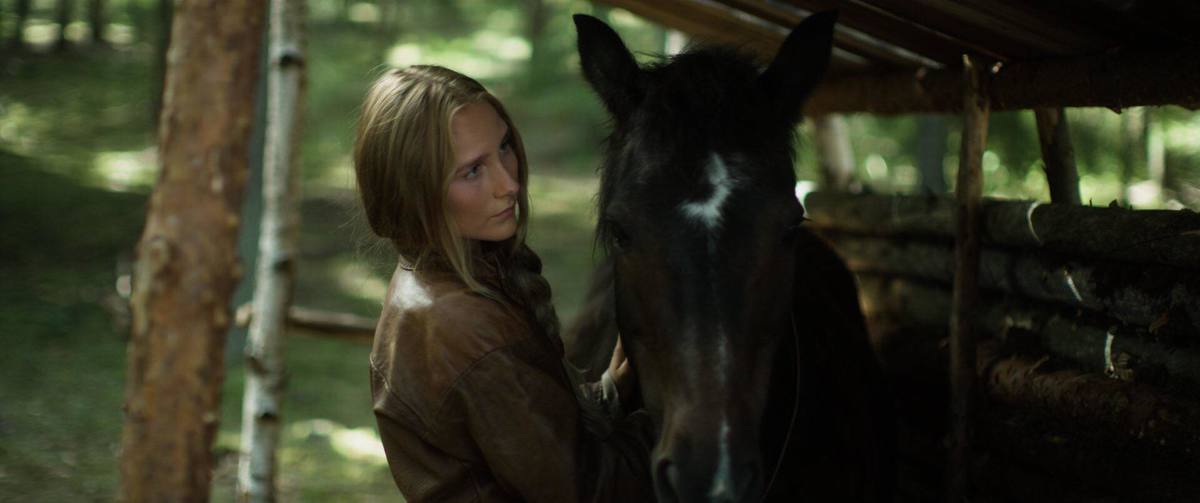 Large db1f650712a4864ba27356af11c436f0 38867403 677474989268889 950572525706805248 n