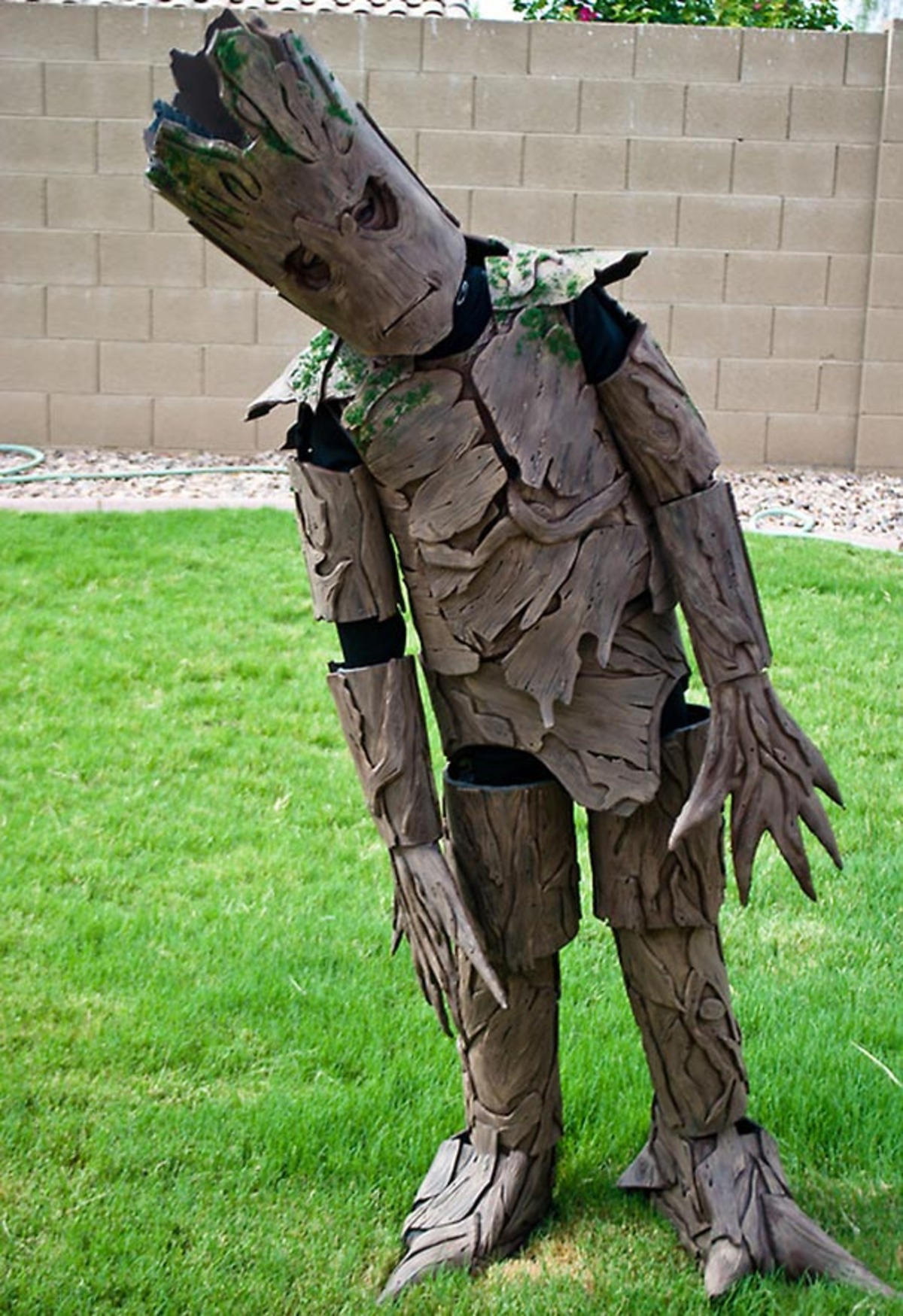 Large groot