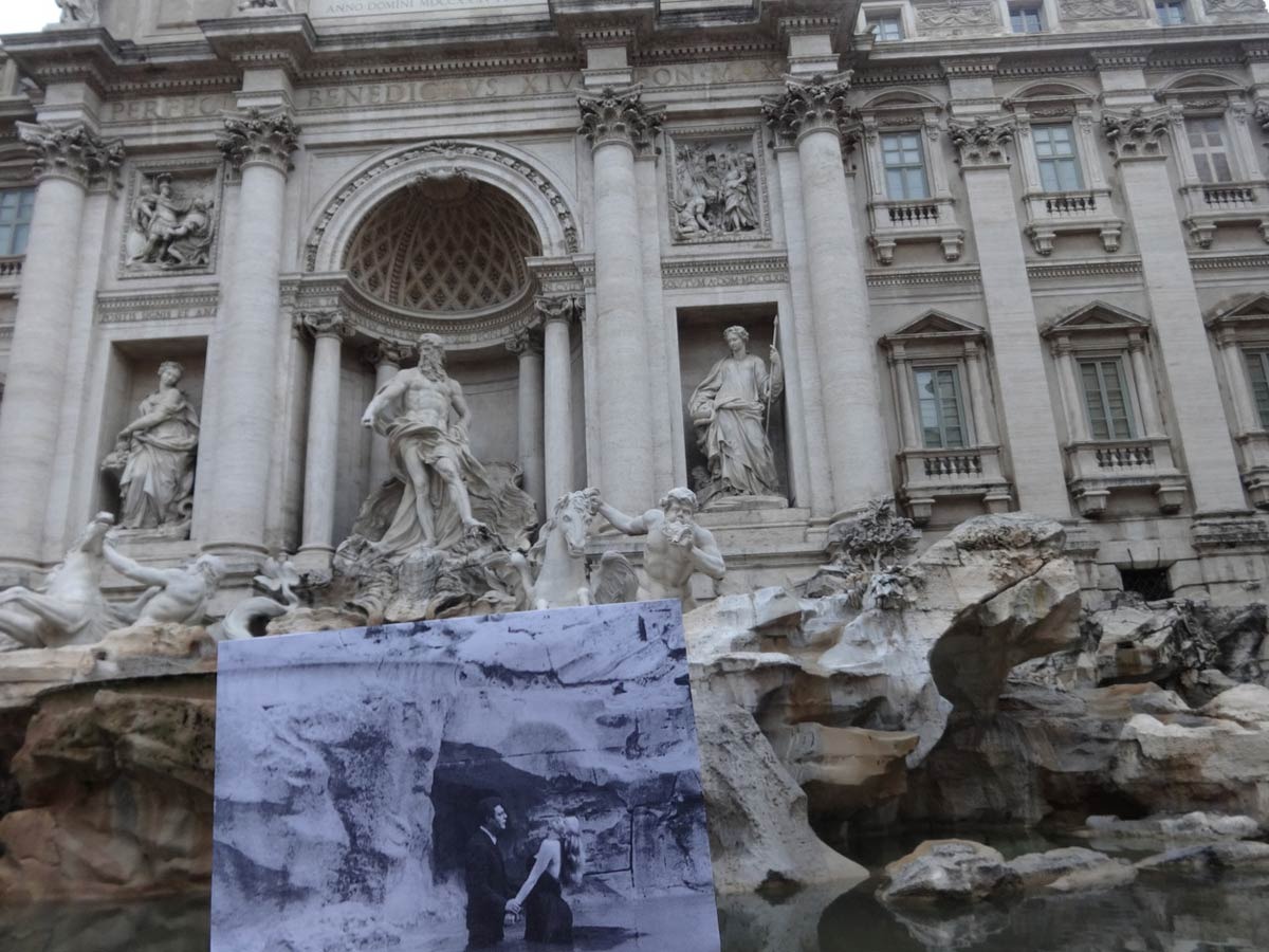 Large ladolcevita moloney filmography