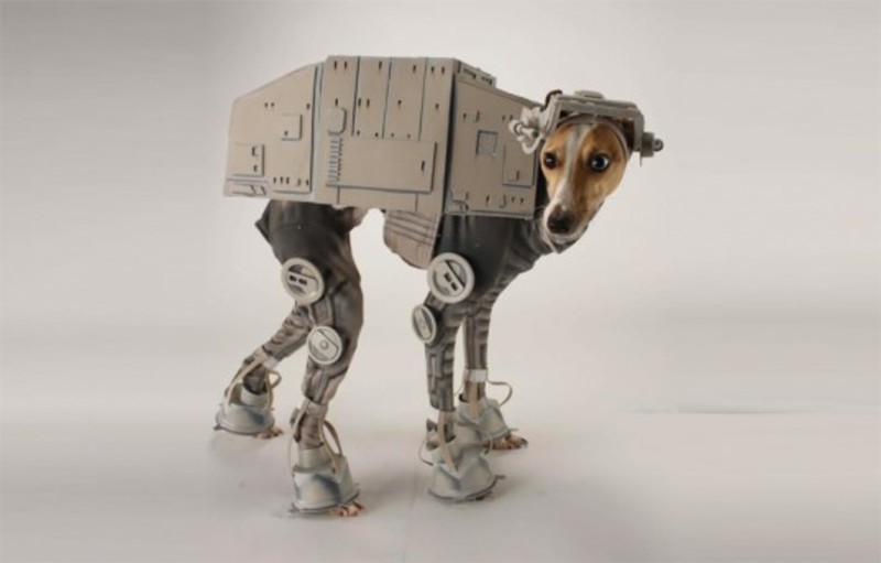 Medium 307ebea1f5a632459597e64b3b9b0a29 at atdog costume 537x343