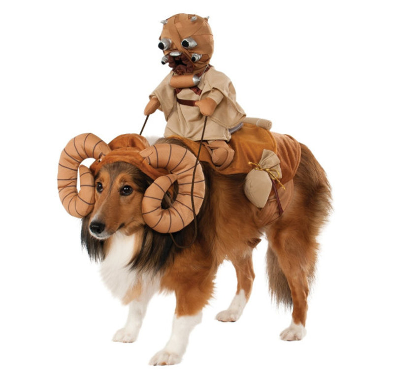 Medium 307ebea1f5a632459597e64b3b9b0a29 bantha