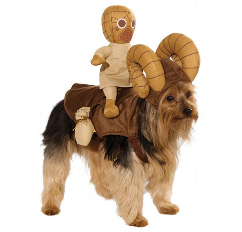 Medium 307ebea1f5a632459597e64b3b9b0a29 star wars dog costumes