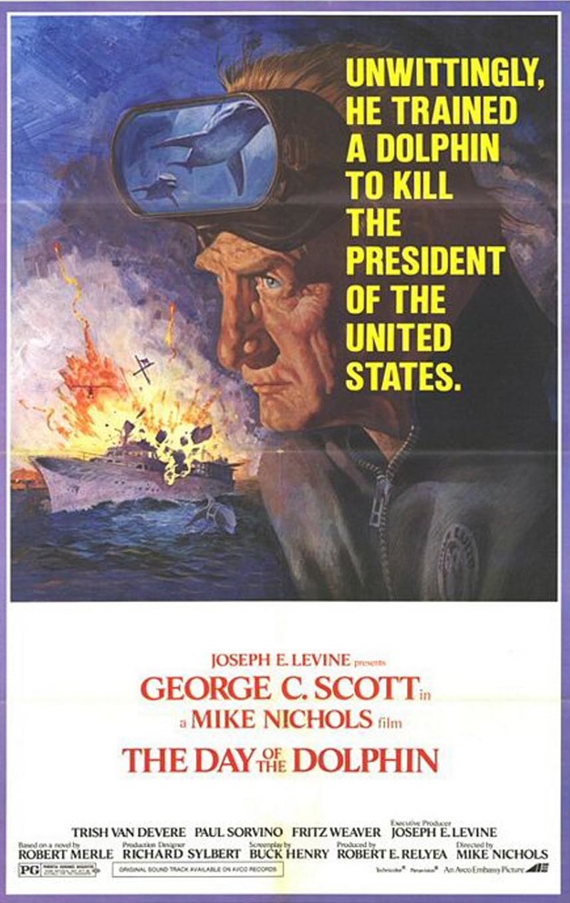 Medium 412639828b7350b479dd0b9377affb6e dophin 