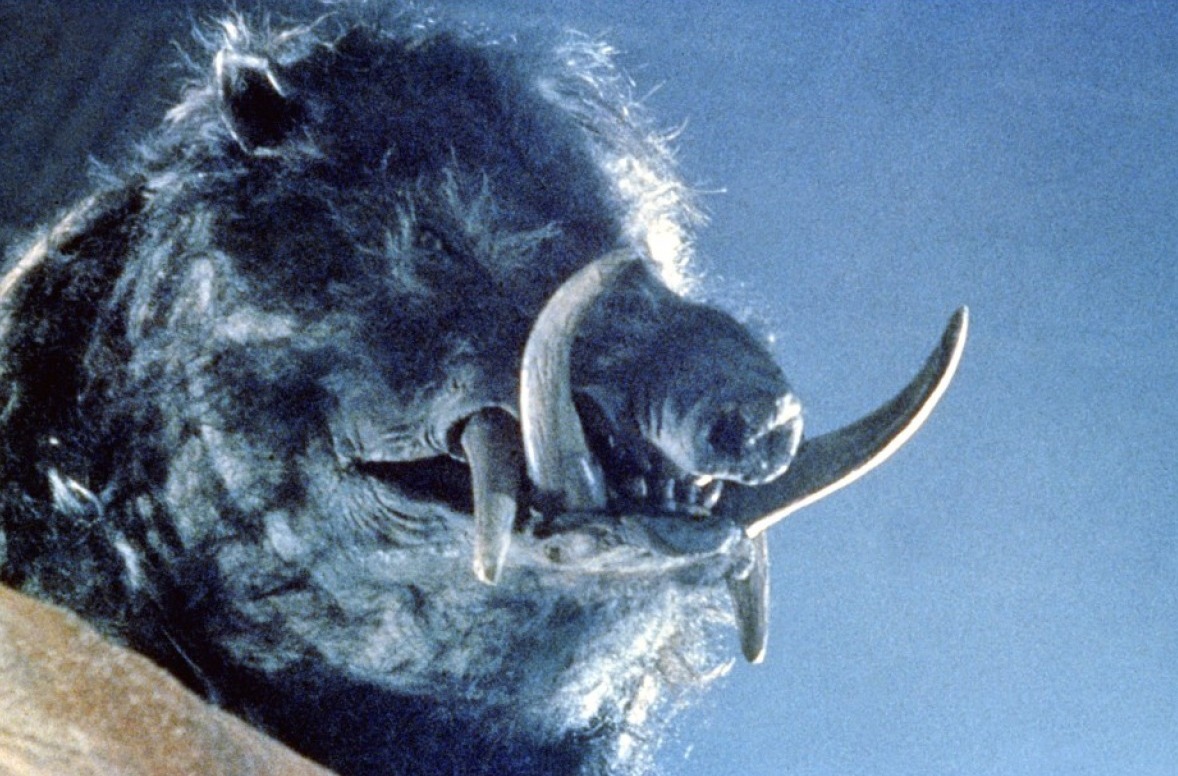 Abstract abstract art 3d   31141940 2560 1600