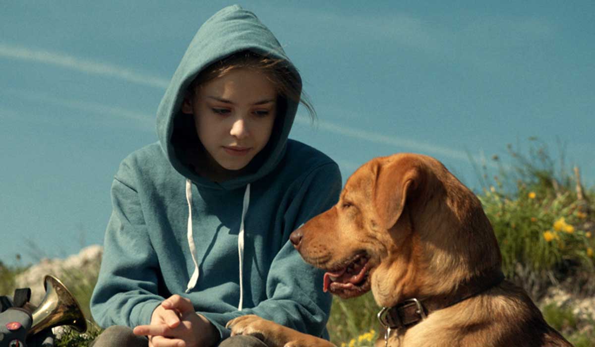 Abstract abstract art 3d   31141940 2560 1600