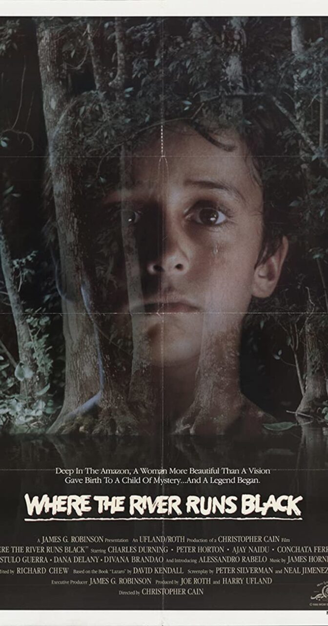 Regnskogens hemlighet