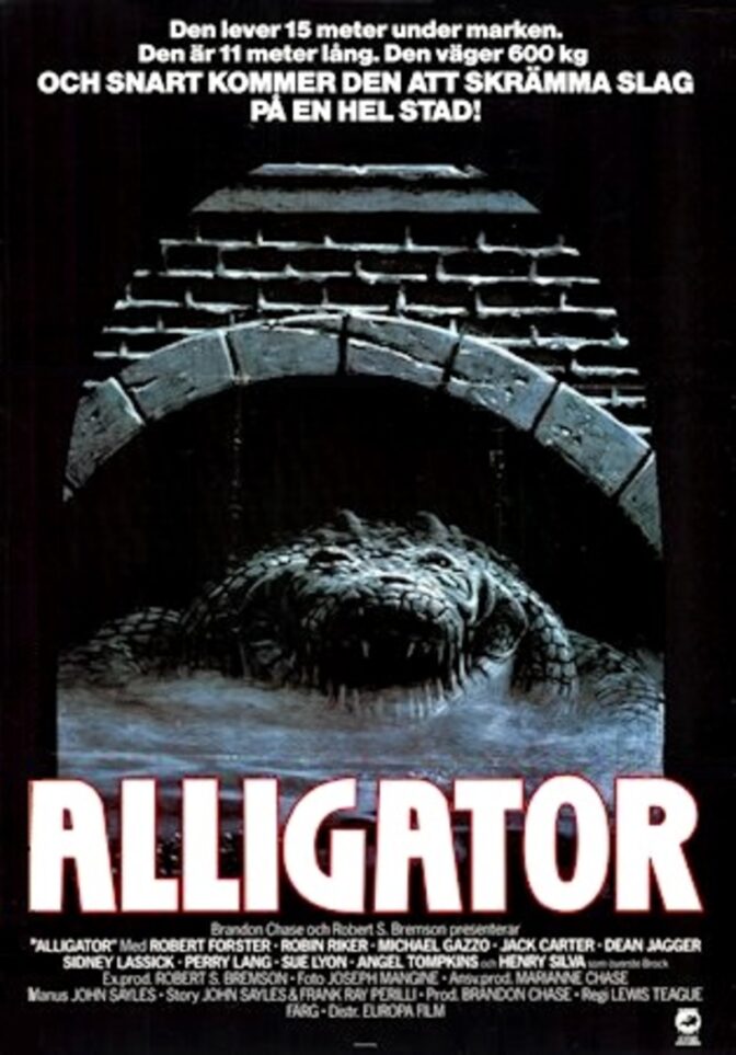 Alligator