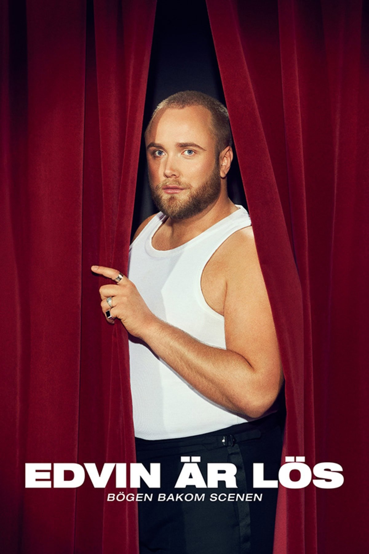 large_07aa992434b934c45f98739e7d207ea1-edvin-banner.jpg
