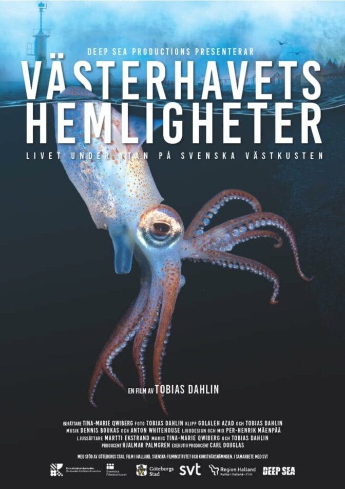 Västerhavets hemligheter