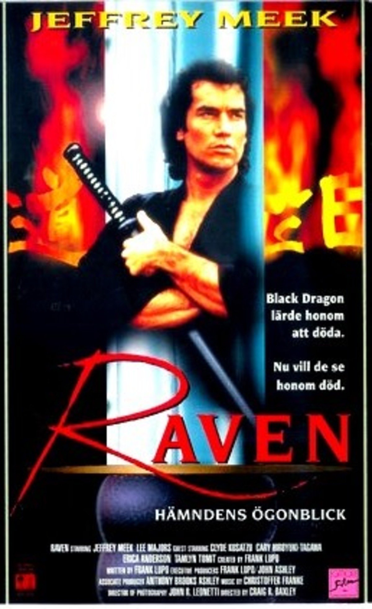 large_1a0e6c0f77752b576a8c787ac935217c-Raven_20-_20H_C3_A4mndens_20_C3_B6gonblick.jpg