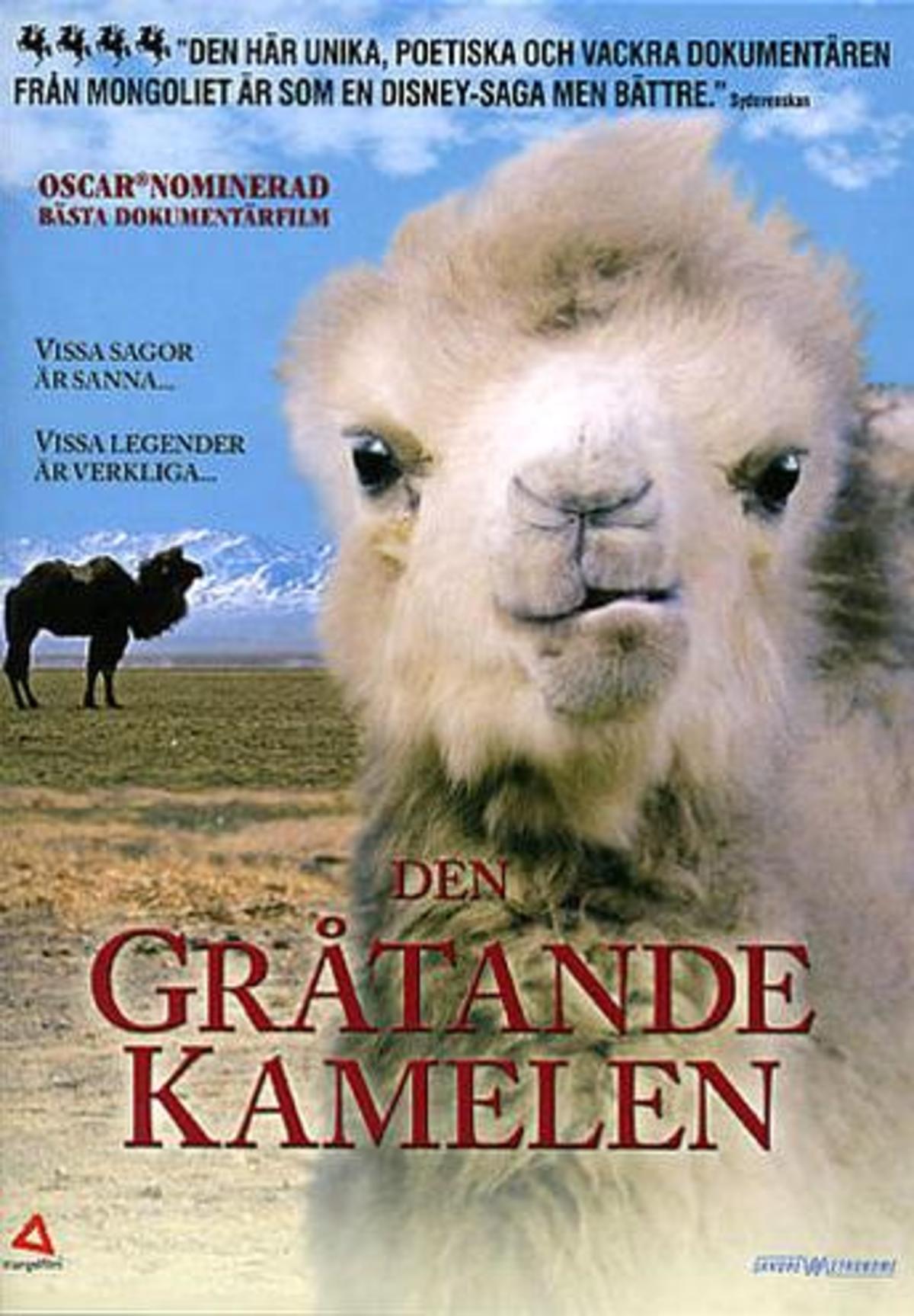large_1fb6071ce576ed9f0c0c3bf07bc6d9d6-Den_20gr_C3_A5tande_20kamelen.jpg