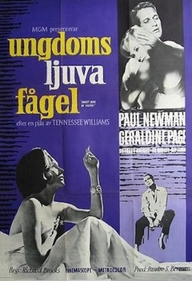 Ungdoms ljuva fågel