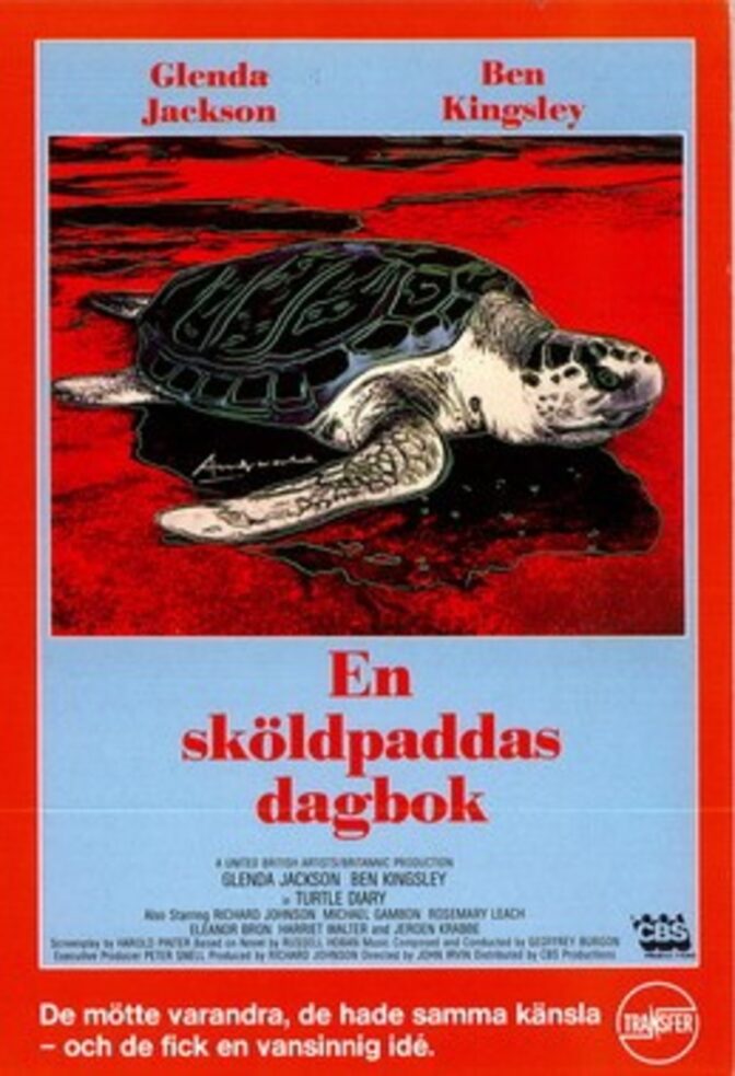 En sköldpaddas dagbok