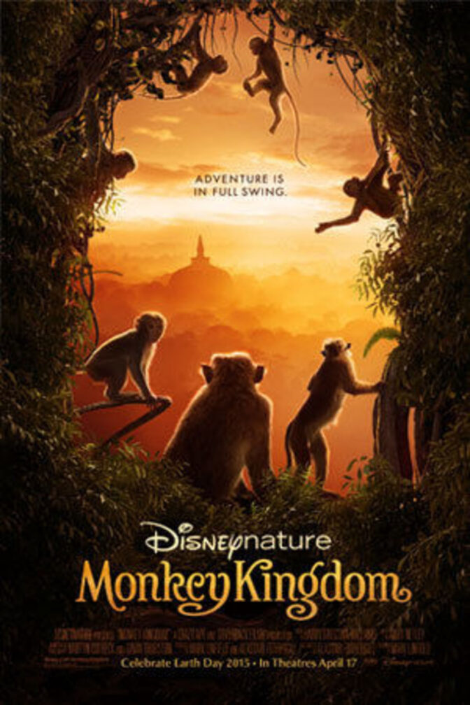 Monkey Kingdom