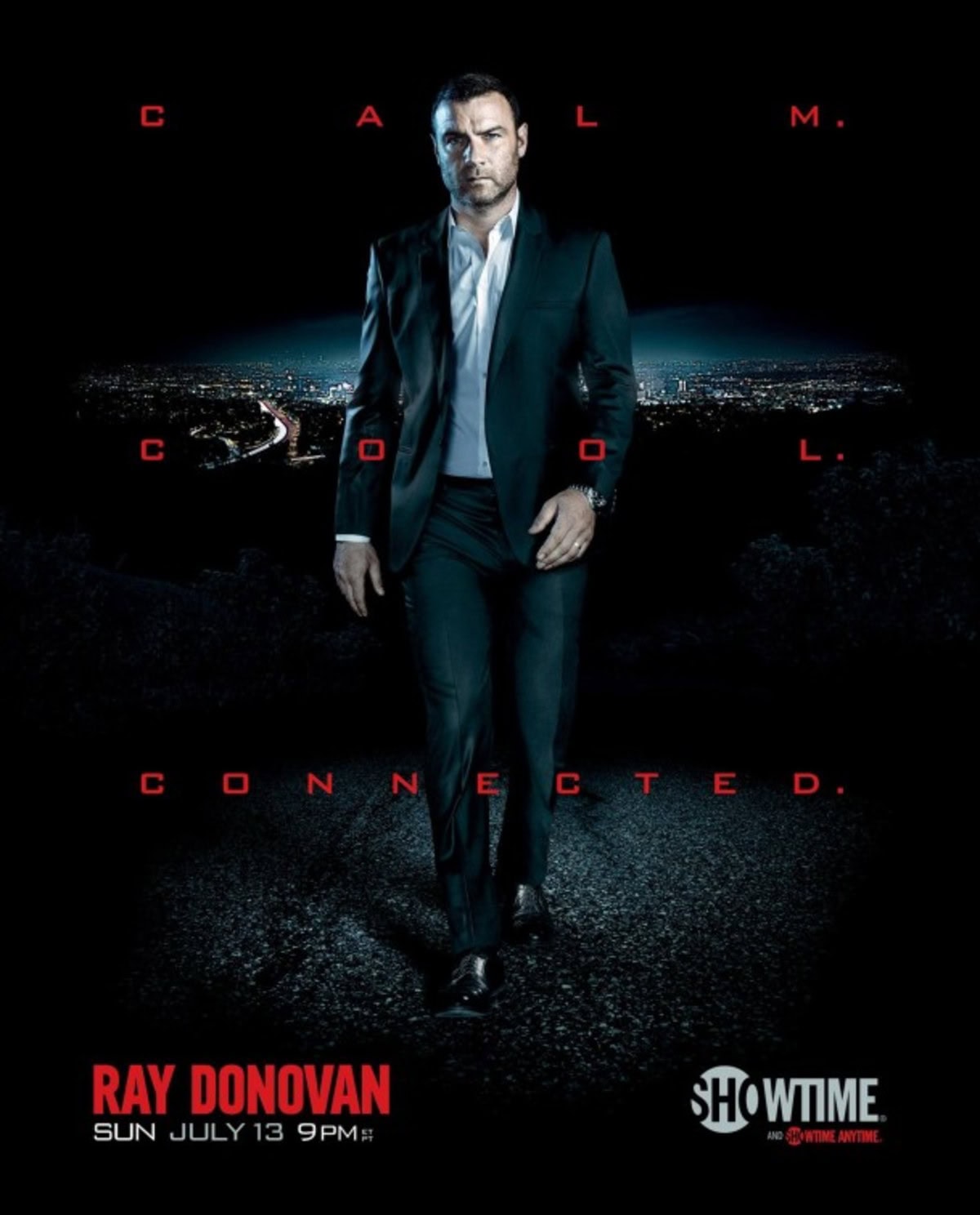 large_3a28026f8e3db05fbcd9bdf86e47d225-ray_donovan_ver3.jpg