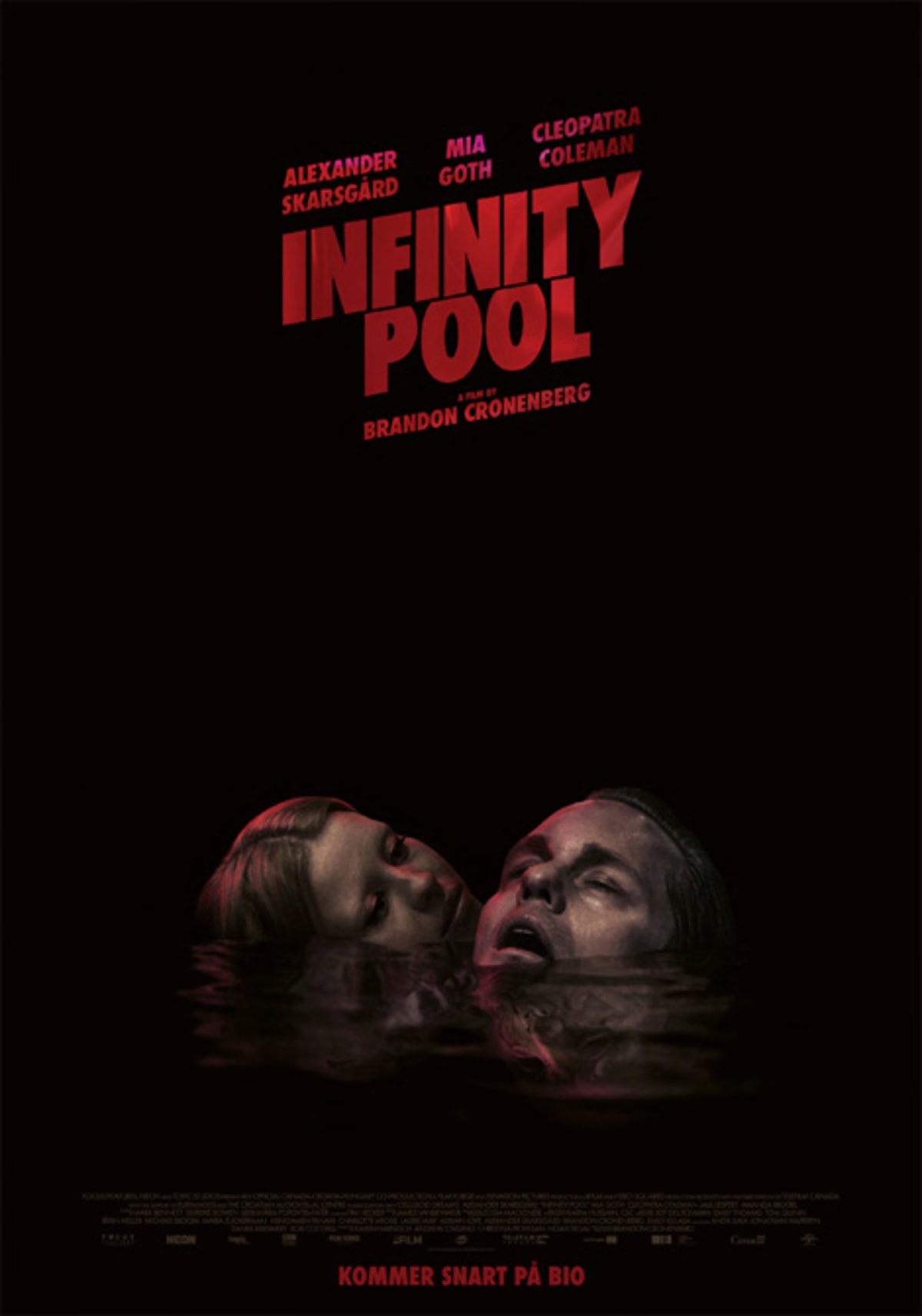 large_3b5b5367ee0c6438b2806a92536a1b5d-infinity-pool.jpg