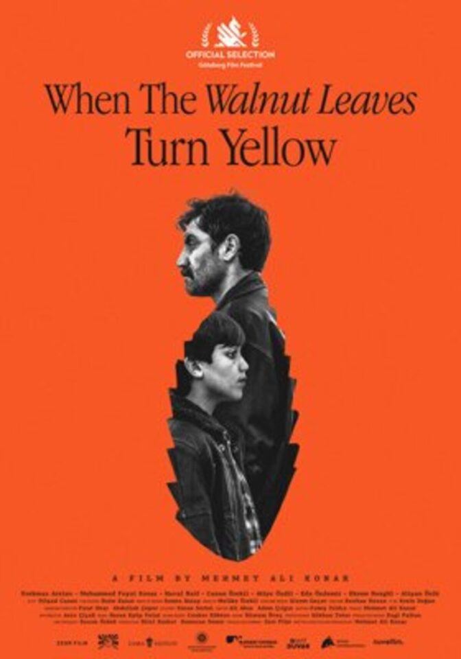 When the Walnut Leaves Turn Yellow