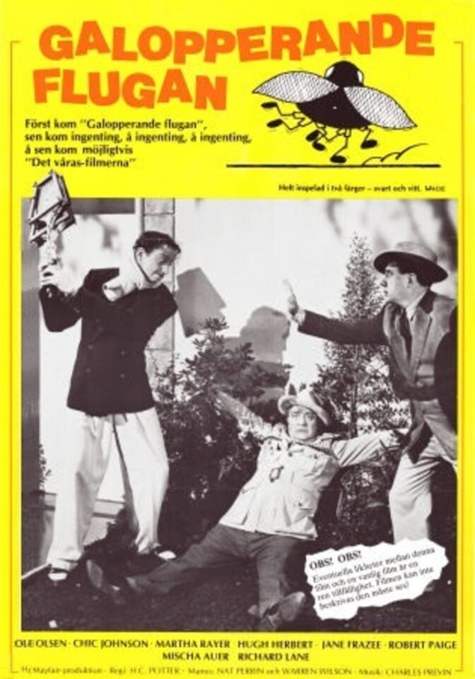 Galopperande flugan