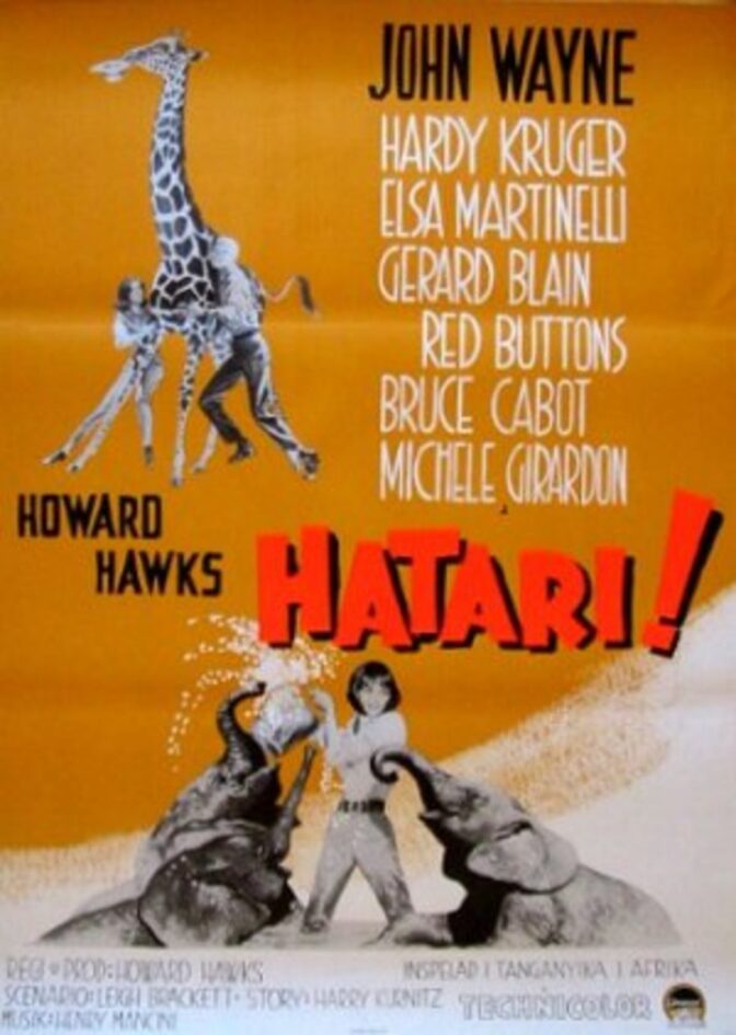 Hatari