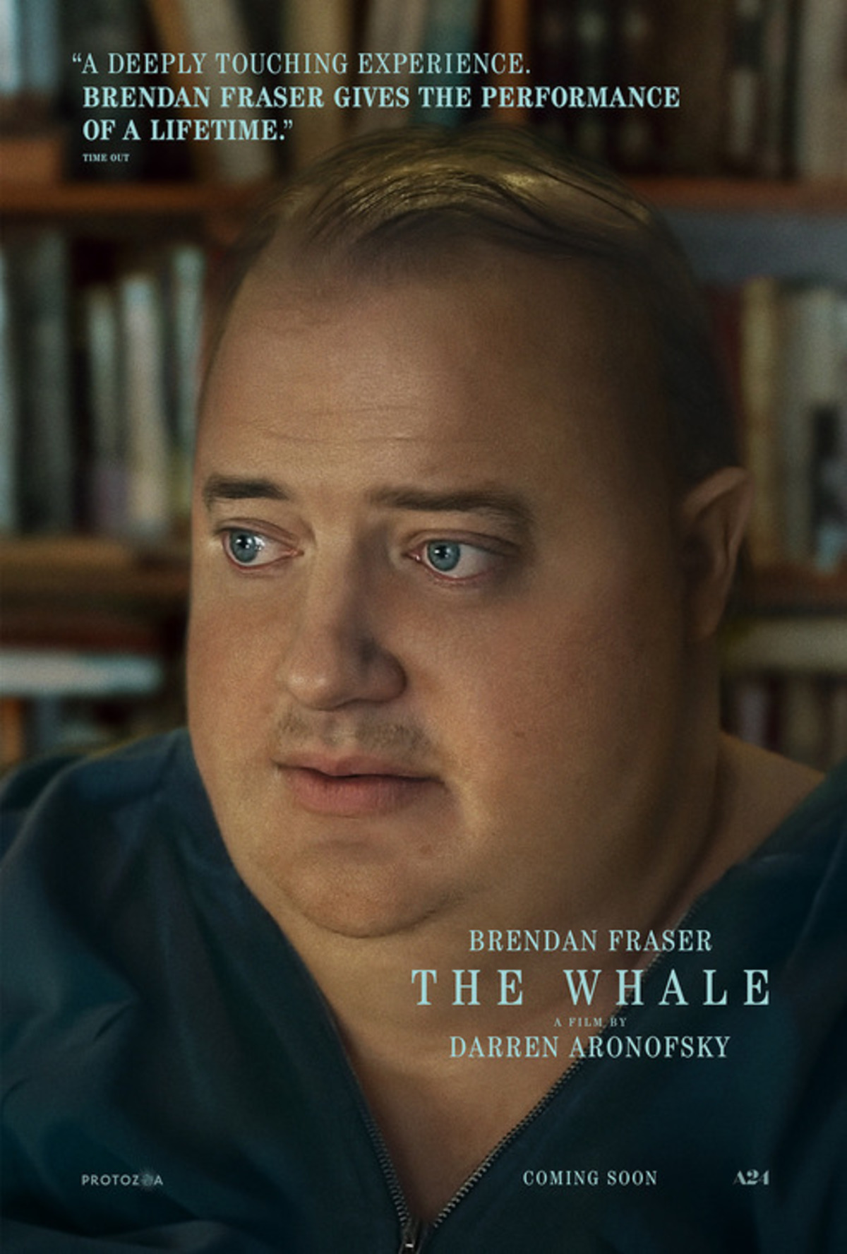 large_481874174bd58cfb42da639ea2e258bc-whale.jpg