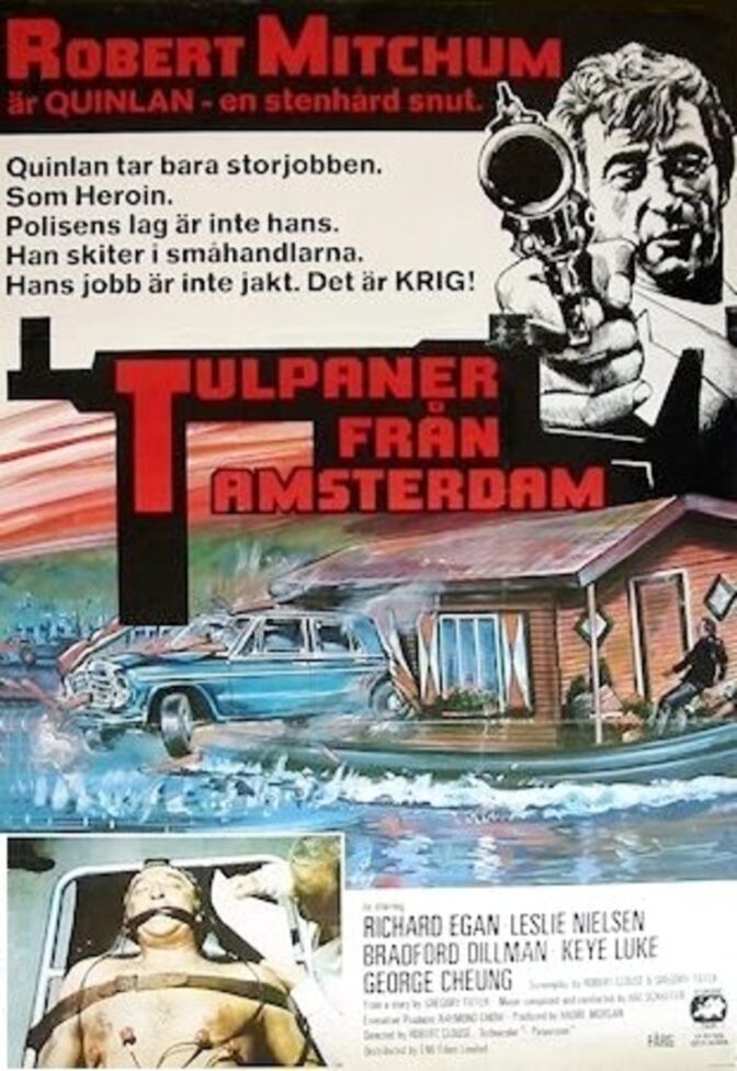 Tulpaner från Amsterdam