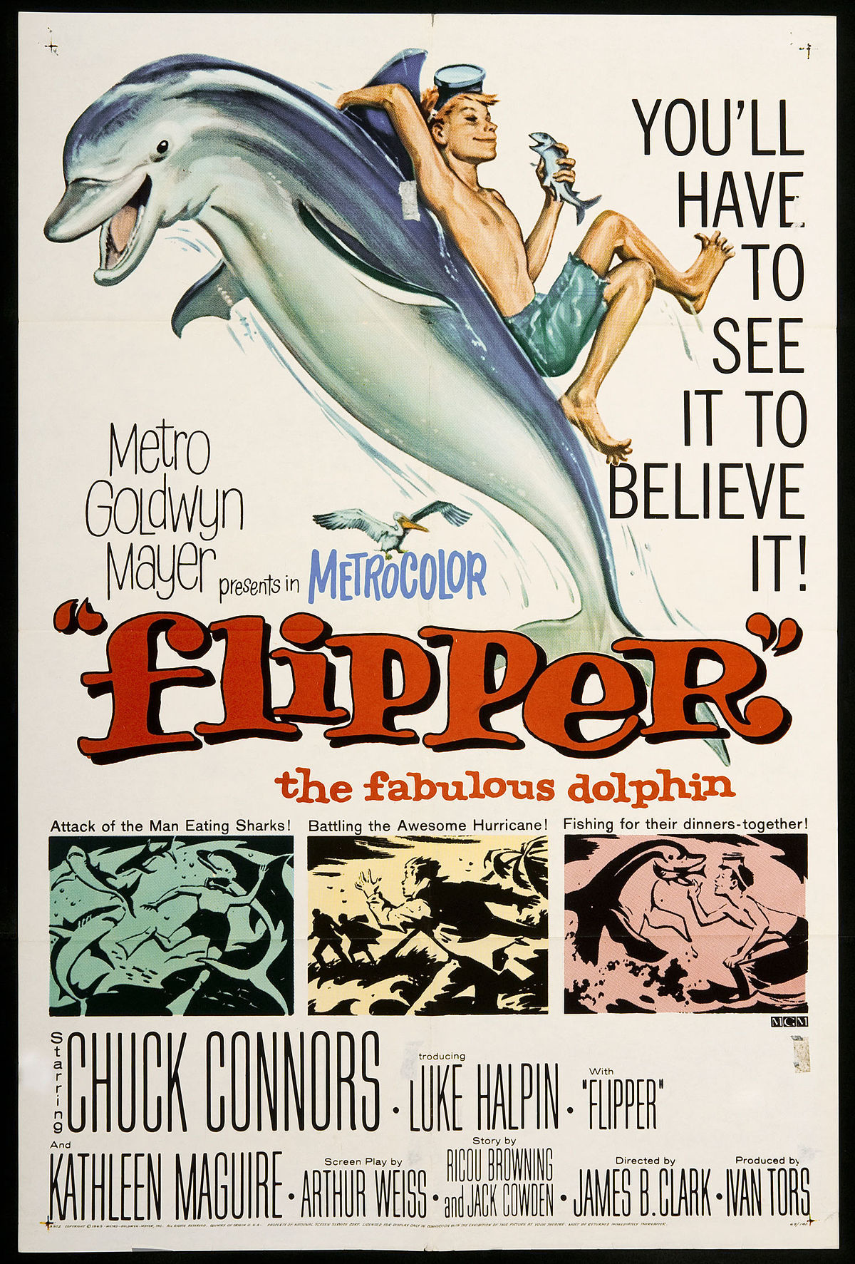 large_498034034dcc57811509f821e80ca1cb-1200px-Flipper_1963_movie_poster.jpg