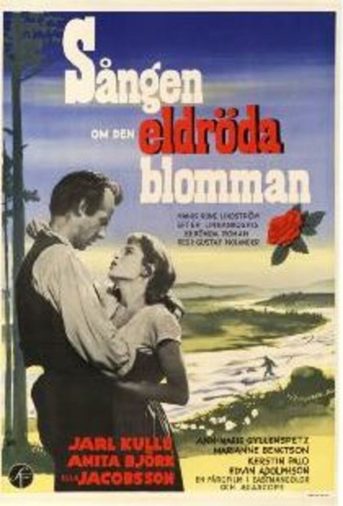 Sången om den eldröda blomman