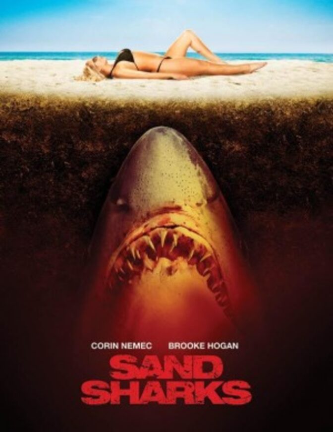 Sand Sharks