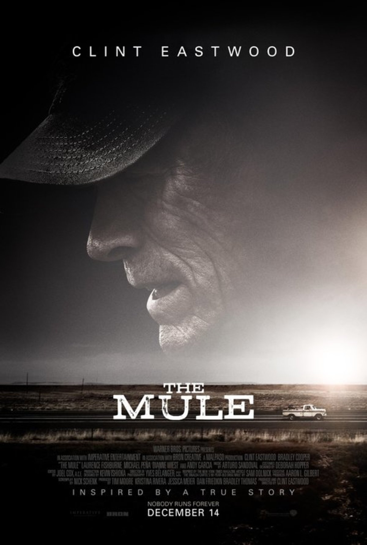 large_526373859bcd505ea42801f55a29f7ba-mule.jpg