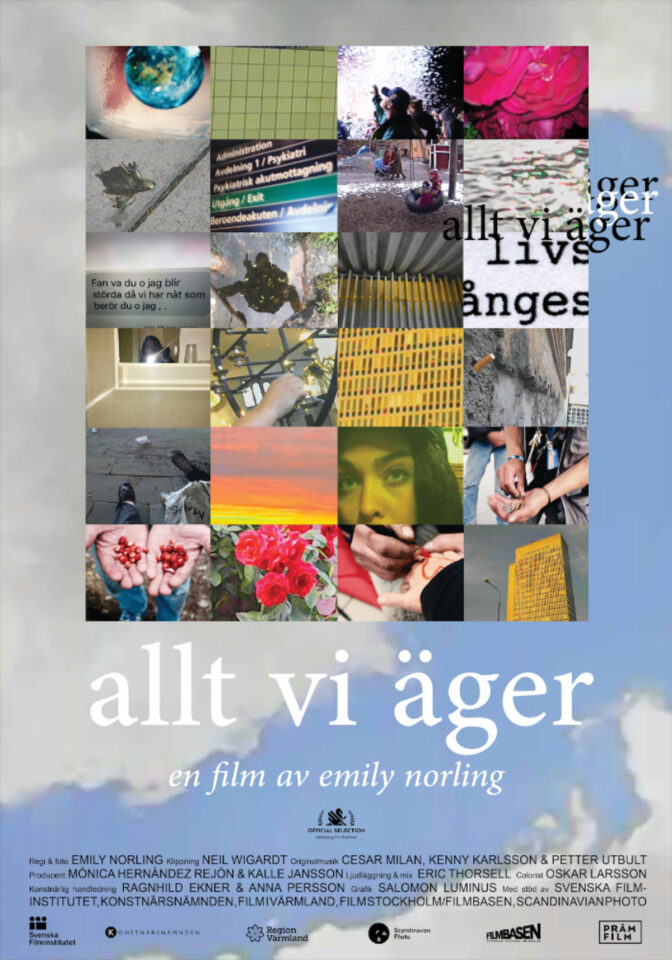 Allt vi äger