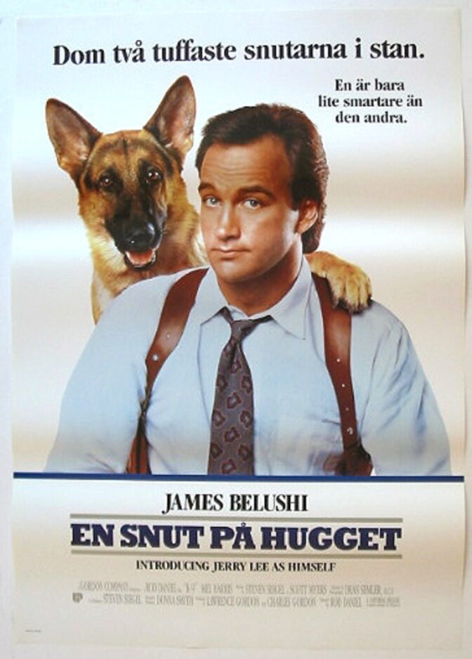 En snut på hugget