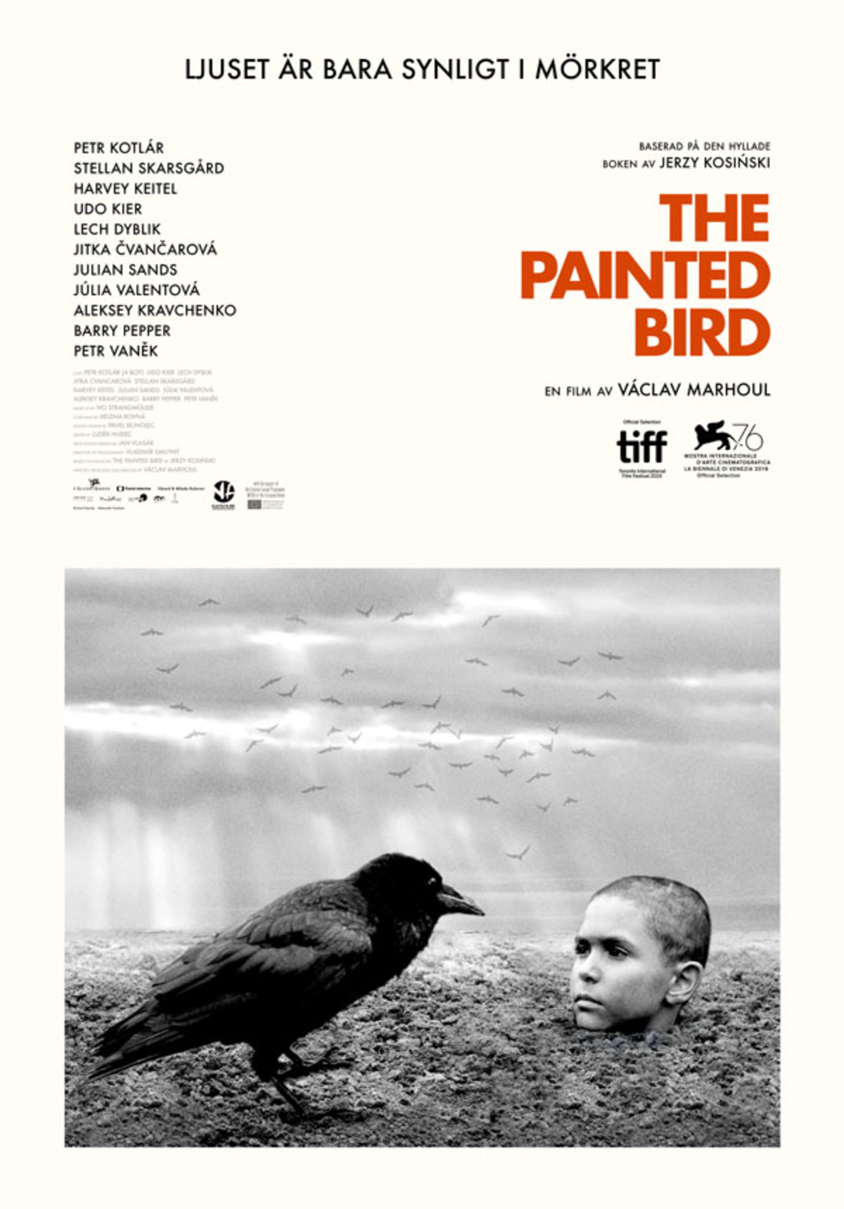large_5dd956884b28e6c184e107c5109a6e00-poster-thepaintedbird.jpg