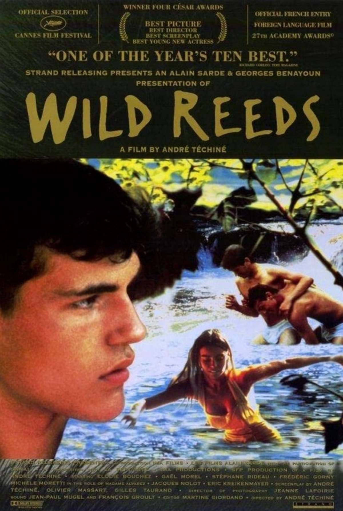 large_5dfb95aa632c13510f98bf05a707ca9b-Wild_20Reeds_20_1994.jpg