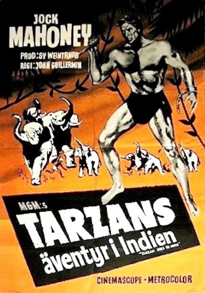 Tarzans äventyr i Indien