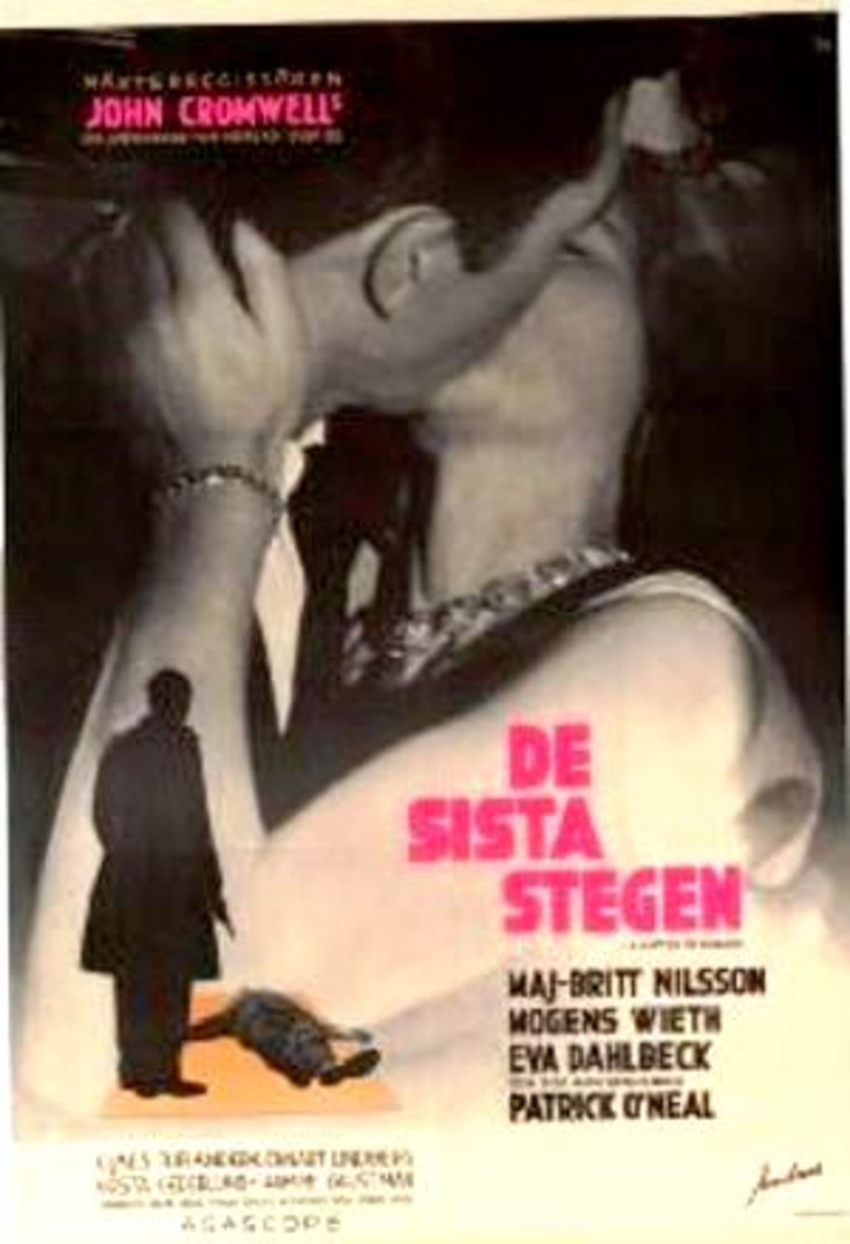 large_65e5b286c185680186a8011bb5376949-De_20sista_20stegen.jpg