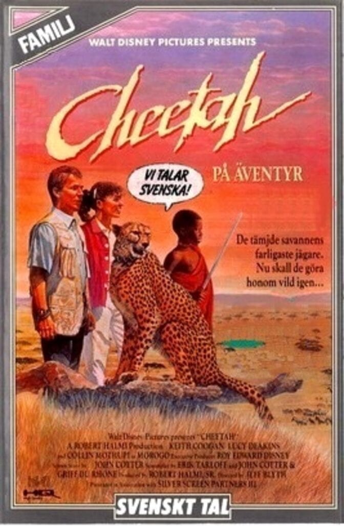 Cheetah på äventyr