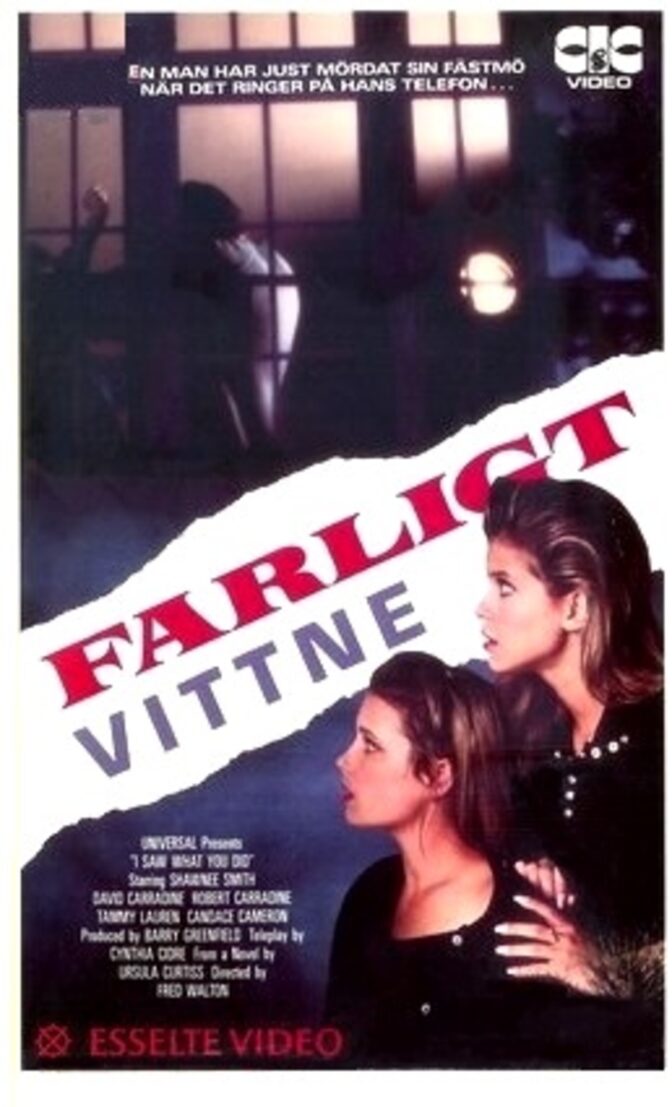 Farligt vittne