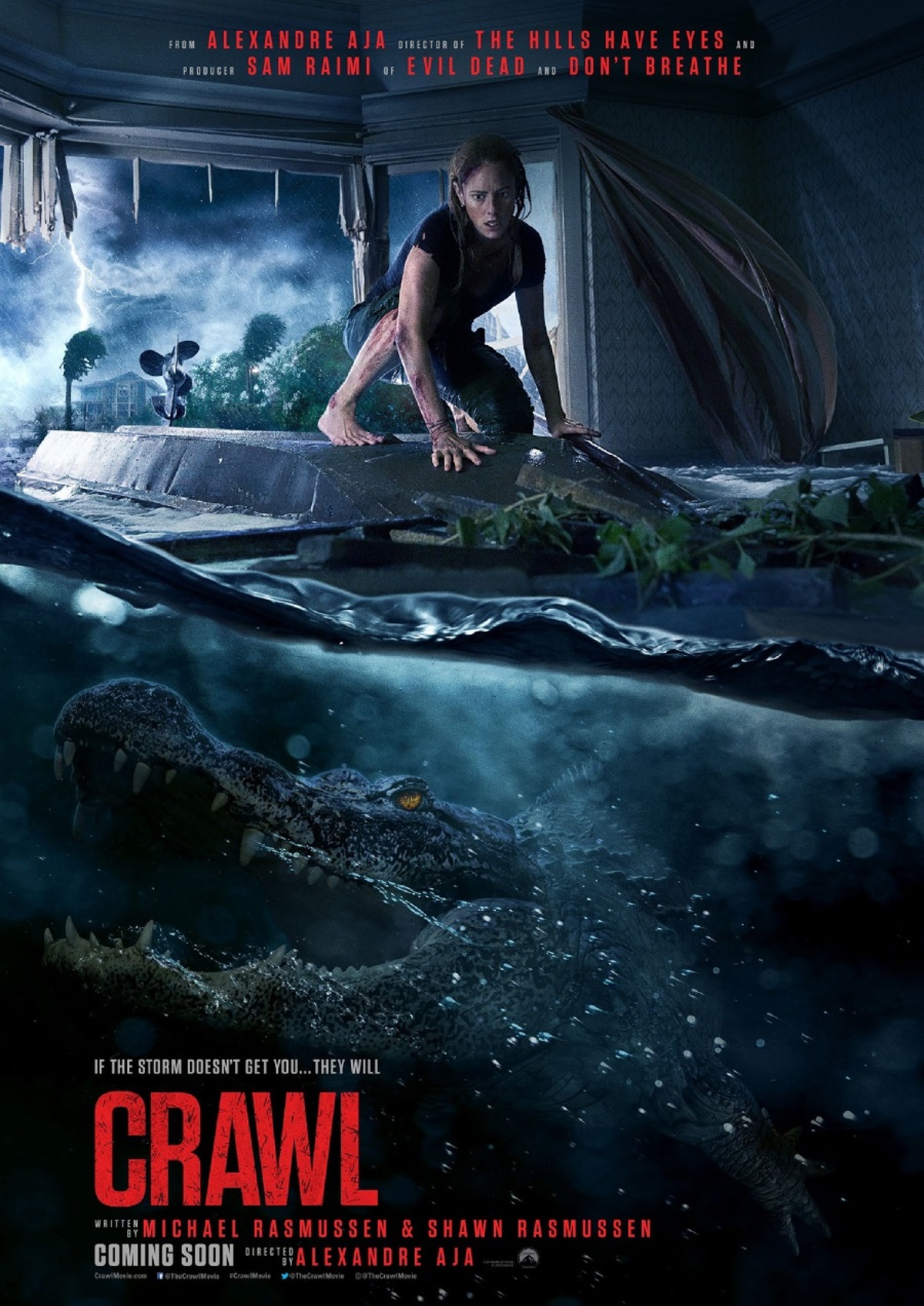 large_6905c65f9eaab1dae1c911e50bdc2252-crawl_poster.jpg