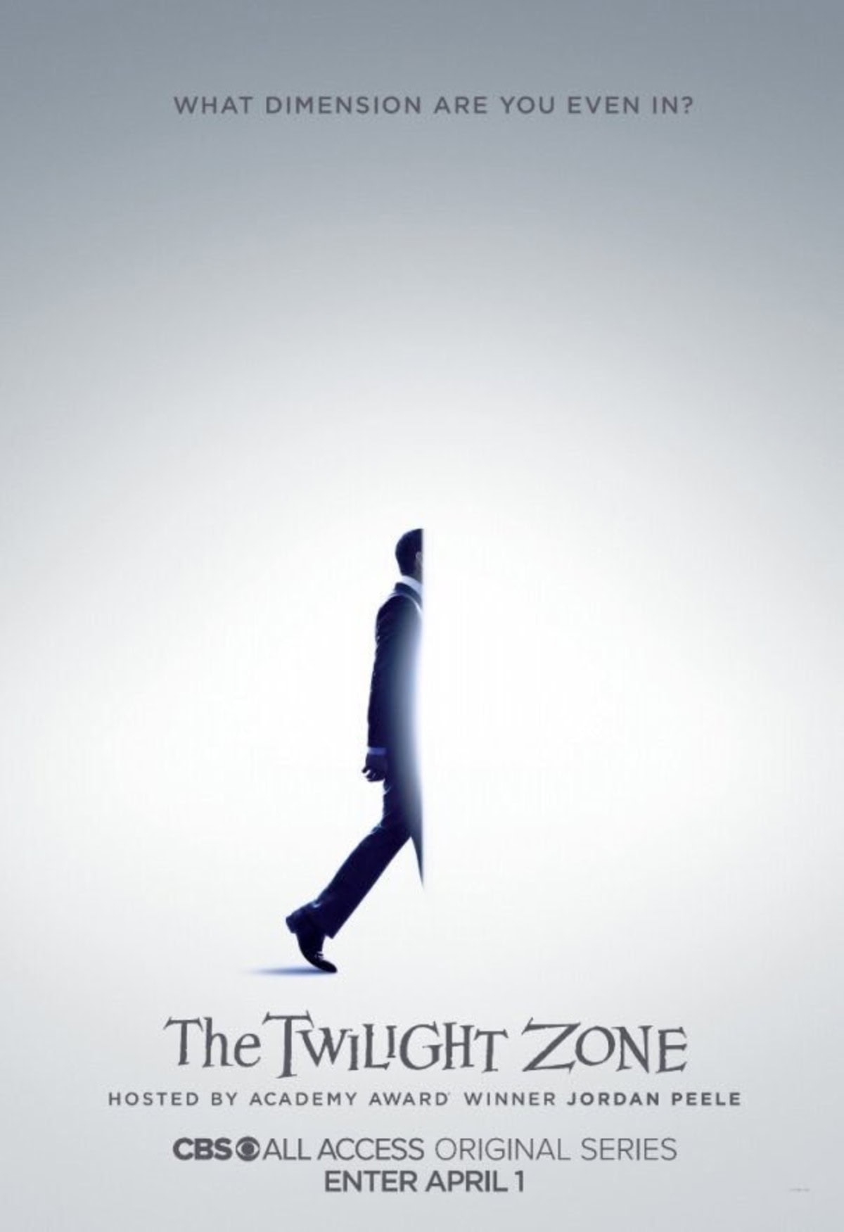 large_69aa37f29711672c24f047a069c09f5b-twilight-zone-poster.jpg