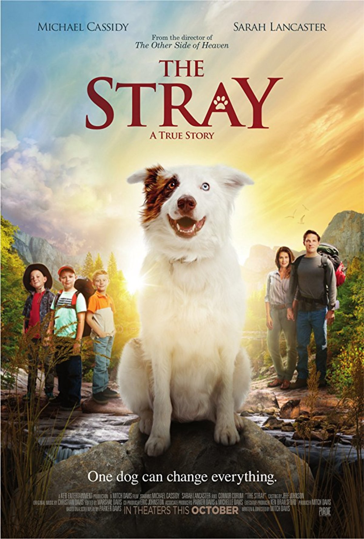 large_69f877105b0f48b0567e894455ae86db-the_stray.jpg